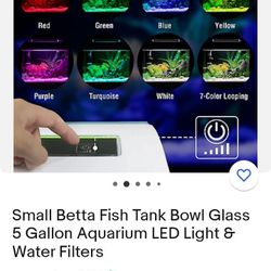 Selling A  Betta Fish Tank Glass 5 Gallon Aquarium LED Light Water Filters 