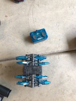 Hex bug