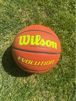 Mens Wilson Evolution Indoor Basketball