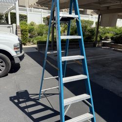 8ft Werner Ladder 
