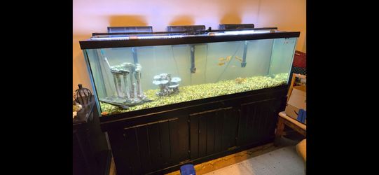 $599 OBO 125-Gallon All-Glass Aquarium Complete Setup – Tank, Stand, Fish & Accessories!
