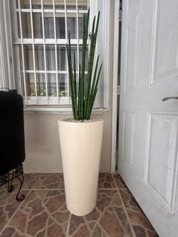 Indoor Artificial Plant