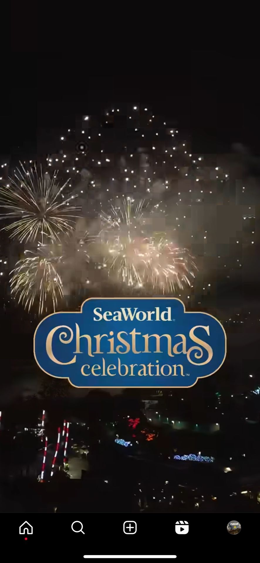 🧨🌊SEAWORLD SAN DIEGO 🧨🌊