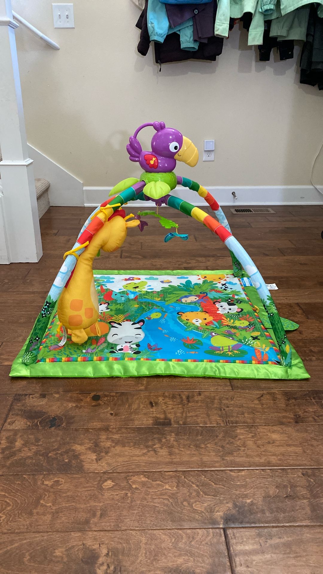 Fisher Price Rainforest Infant Play Mat