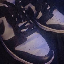 Nike Dunks Sneaker