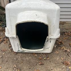 Dog House 