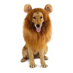 Dog Lion Costume In Euc Size Medium/large Dogs 23to 30 Inches 