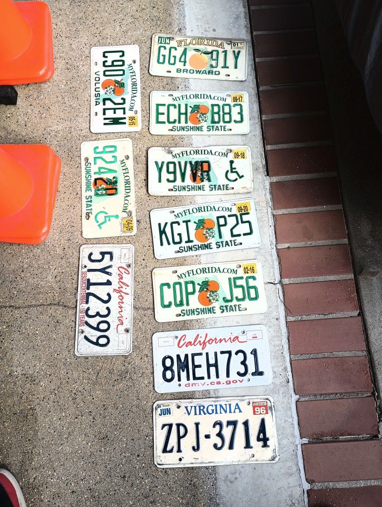Lot Real License Plates / Bar & Restaurant Decor