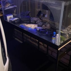 60 Gallon Everything You Need To Start Your Aquatic Journey 