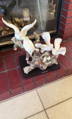 Palomas