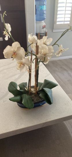 Orchids plastic