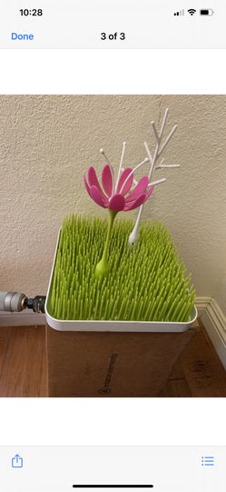 Bottle dry rack