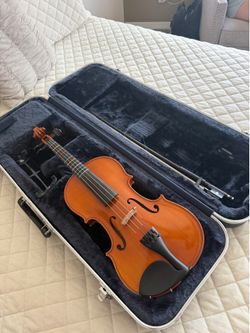 Viola