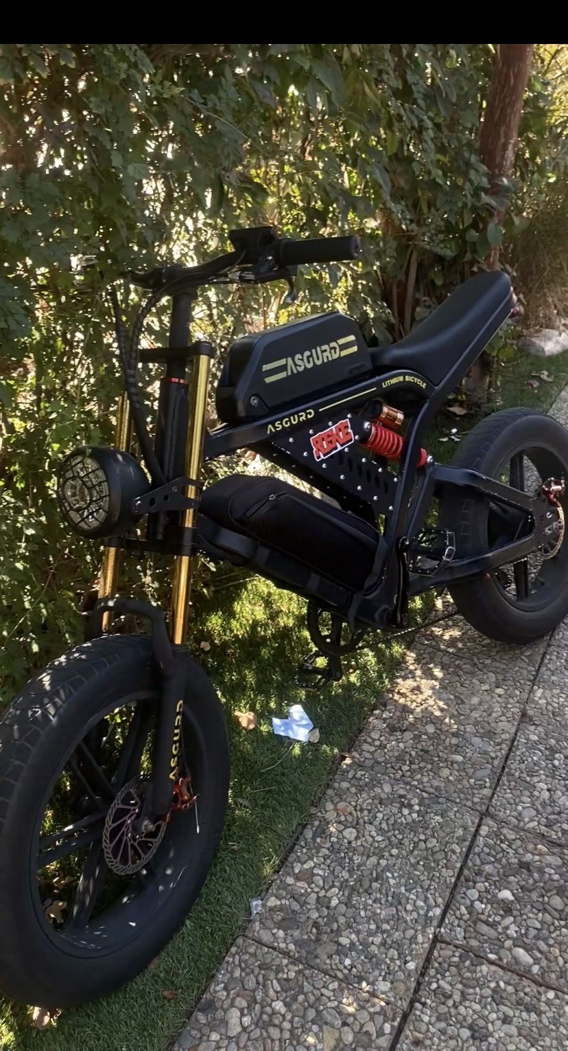 Asgurd Rx Electric Bike
