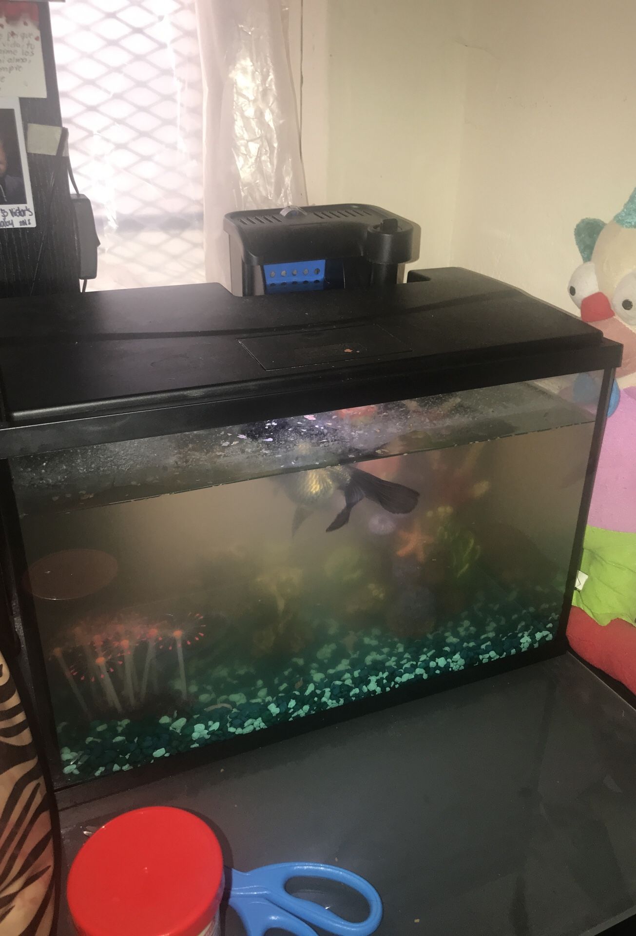 Topfin 10 gallon fish tank