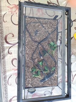 Reptile enclosure