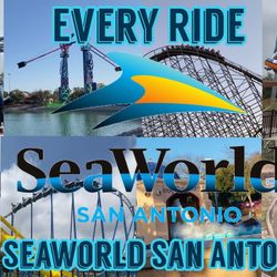 Seaworld And Other Festivities 