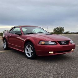 2000 Ford Mustang