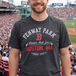 47 Brand Fenway Park Boston Red Sox T-Shirt Large Gray Graphic Tee MLB Baseball
