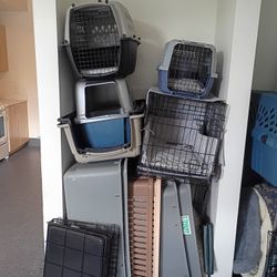 Cat & Dog Kennels New (All Sizes)