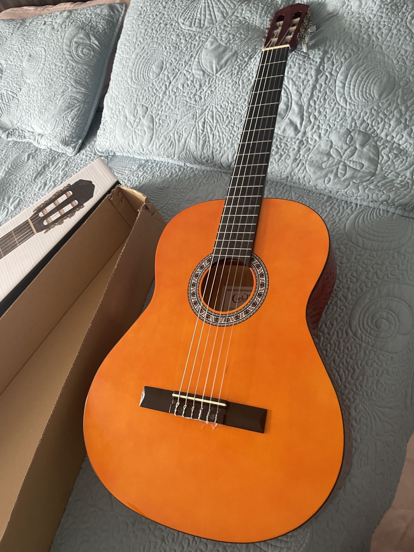 Guitar