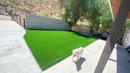 Artificial Green Grass Installation