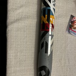 Demarini Steel Softball Bat 