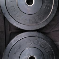 Rogue Bumper Weights