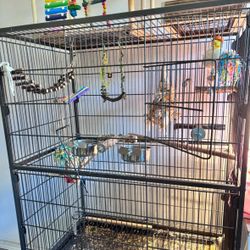 bird cage 