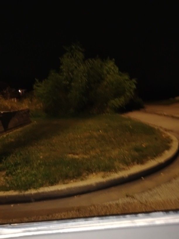 Yard And Crap Removal