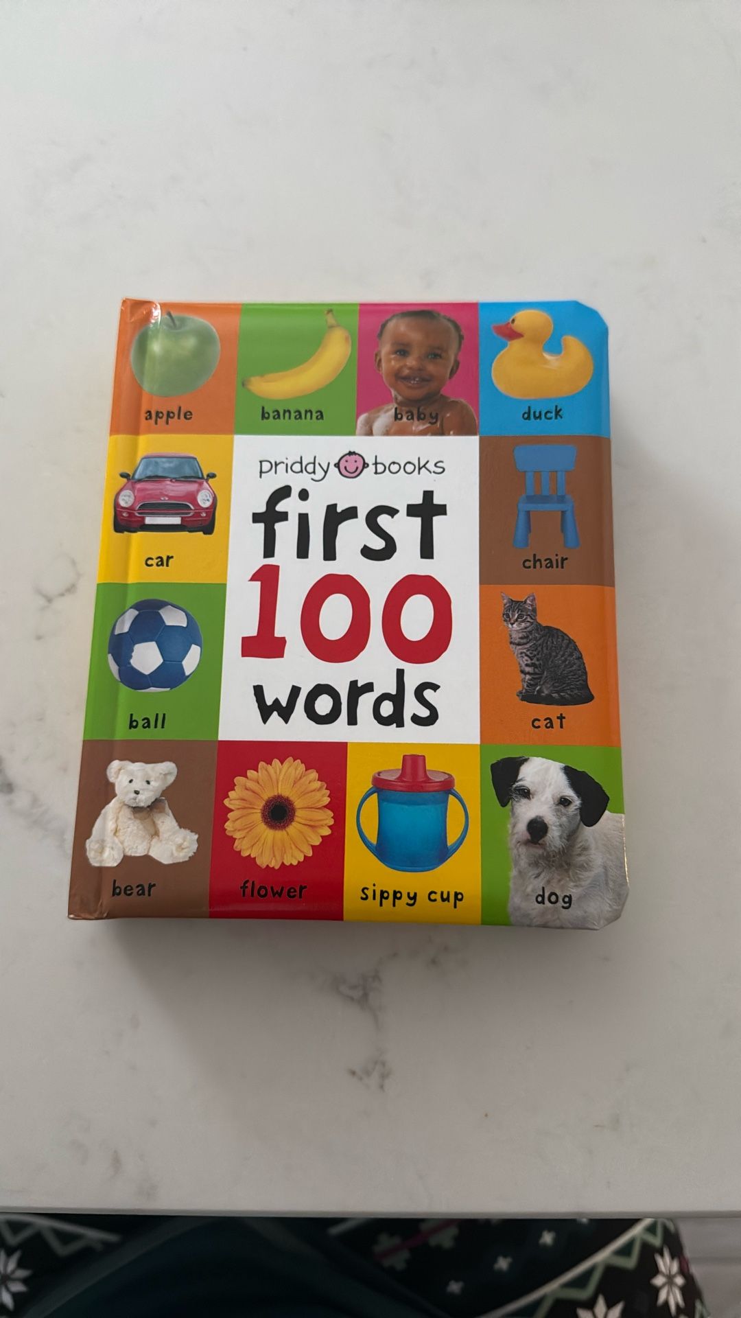 First 100 Words Book 