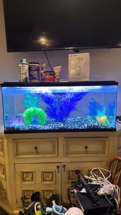 Fish Tank w/ New Pumps & Supplies