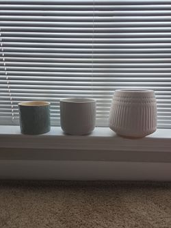 Plant Pots
