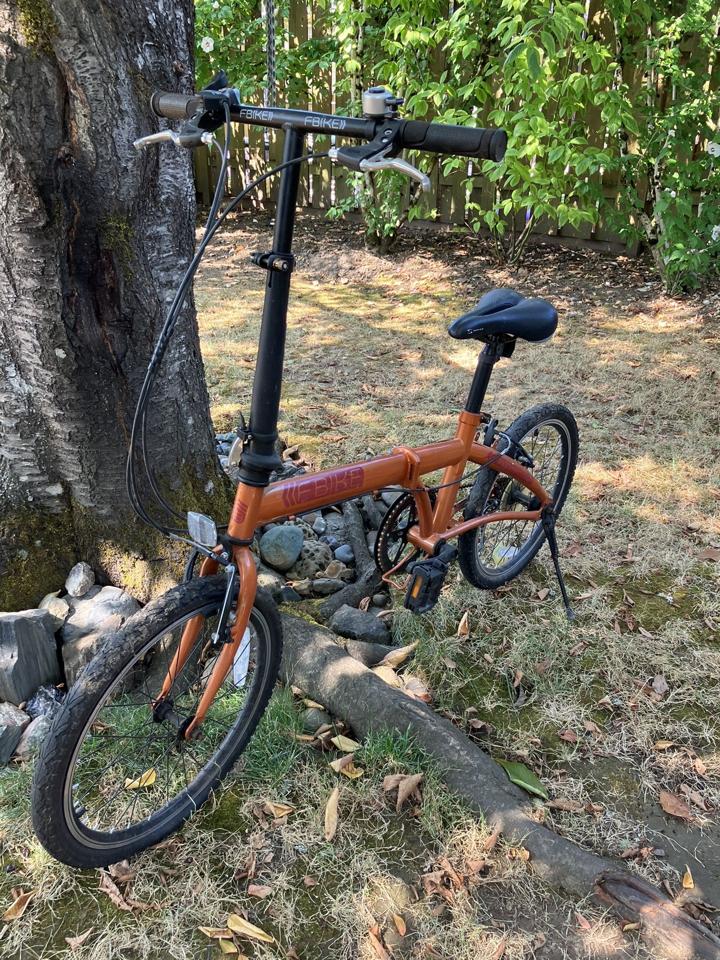 F-Bike Lightweight Folding Bike