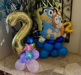 Bluey & #2 balloons both for $20