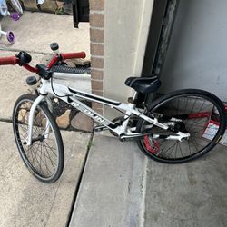 Redline Proline mini Bike
