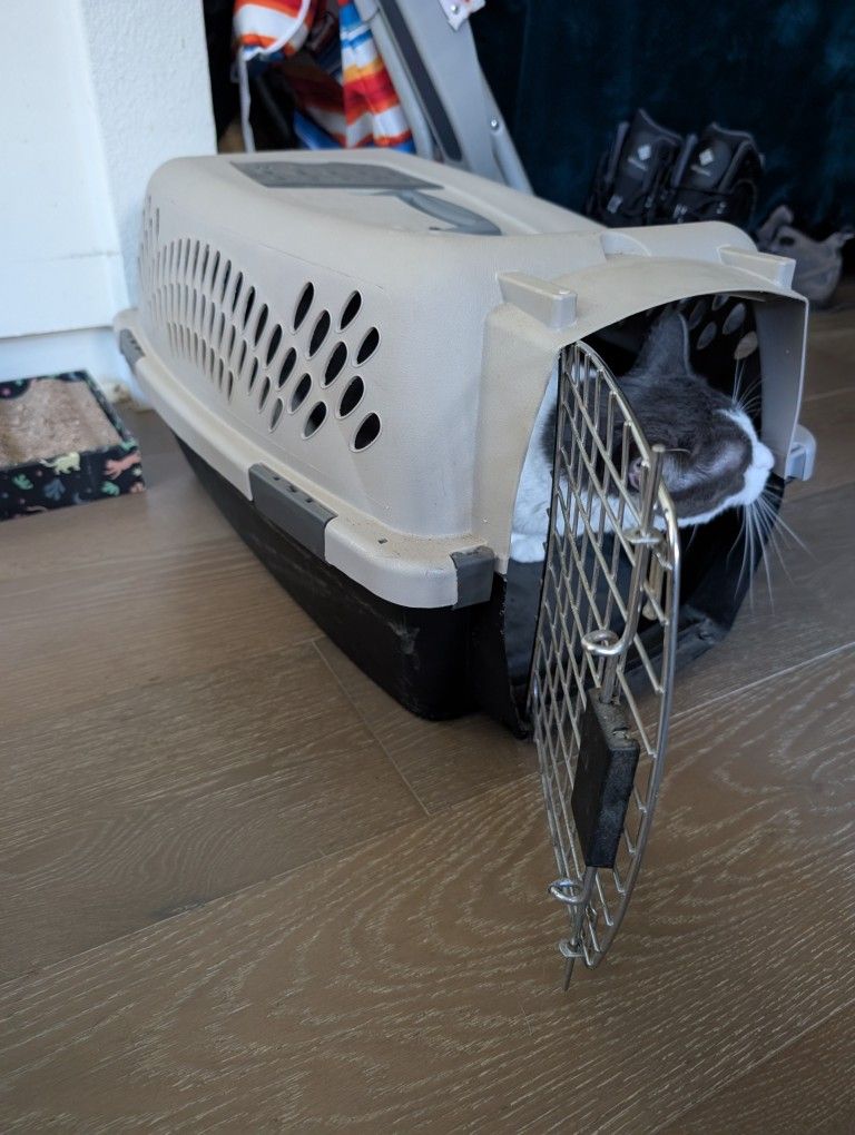 Small Travel Pet Carrier