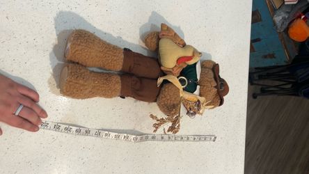 Crazy mountain Thanksgiving fall bear
