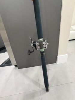 Abu Garcia Reel & Trolling Rod Combo