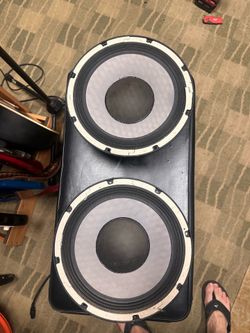 2 Mesa Boogie 10” bass speakers