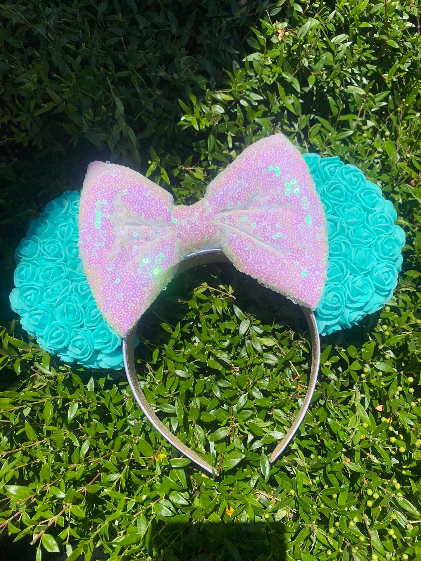 Disney Ears 