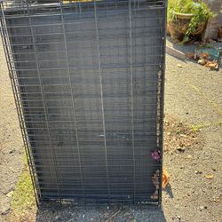 Dog Crate
