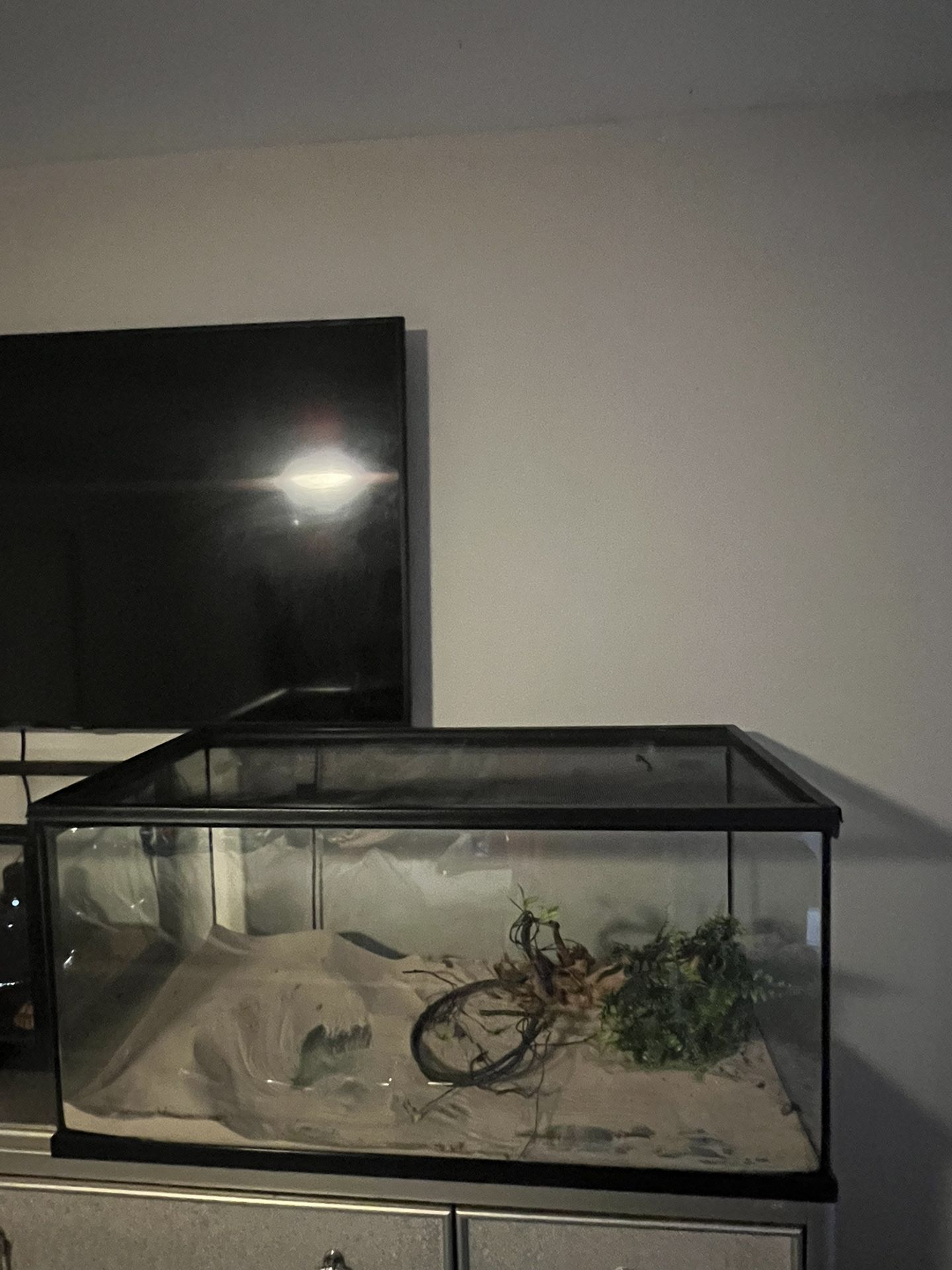 Reptile/fish Tank 