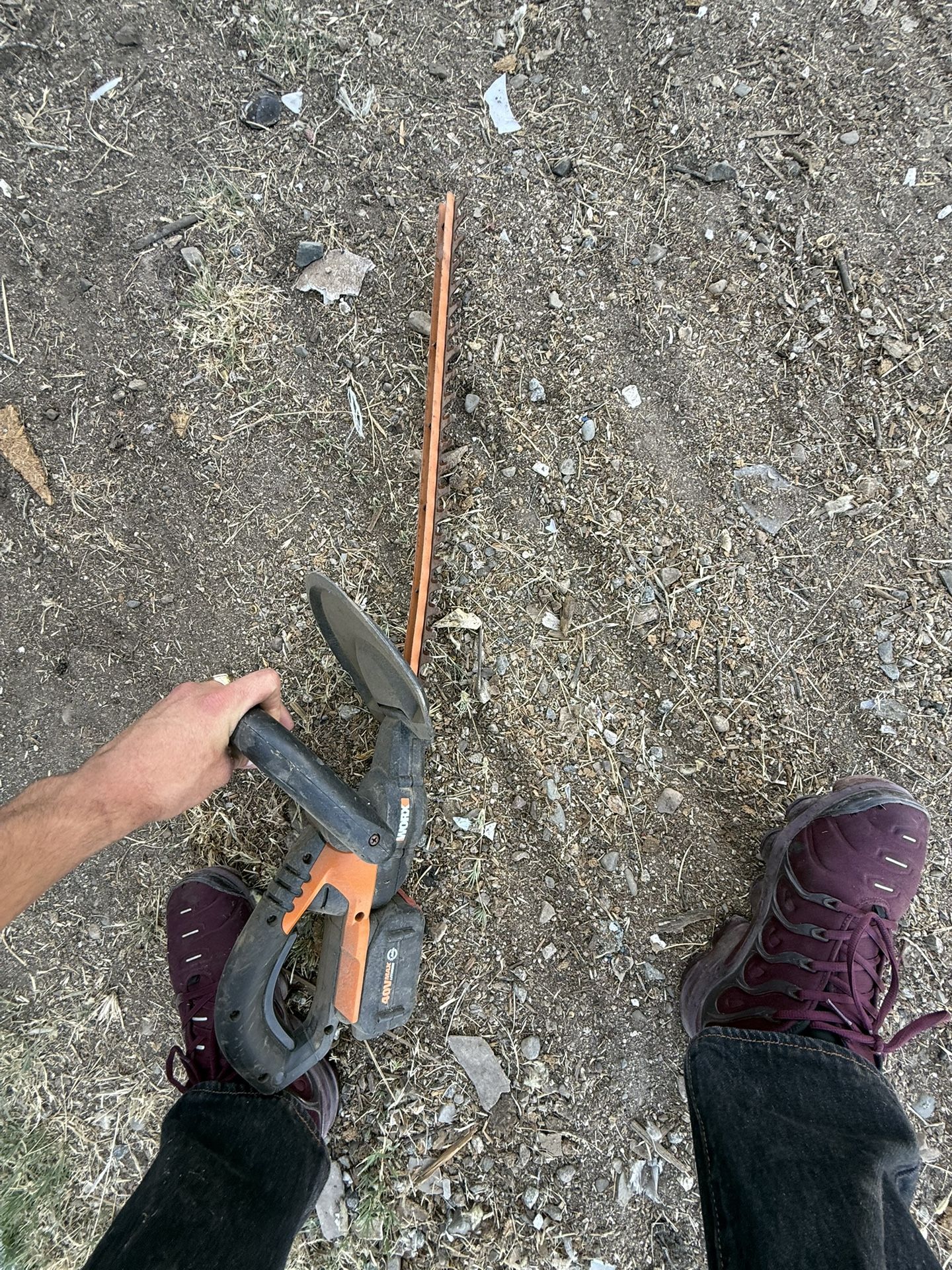 Tree Cutter