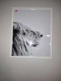 Framed Black and White Lion Print
