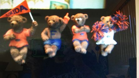 Ridgewood Collection 4 Florida Gators cheering crowd Bears