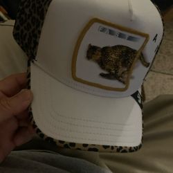 Cheetah Limited Edition 