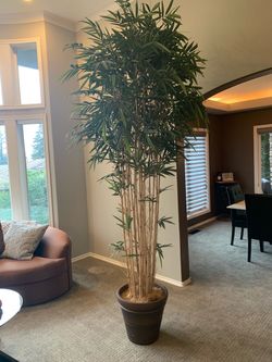 9’ Imitation Bamboo Plant