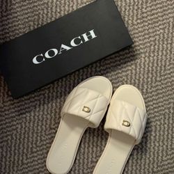 Coach Sandals 