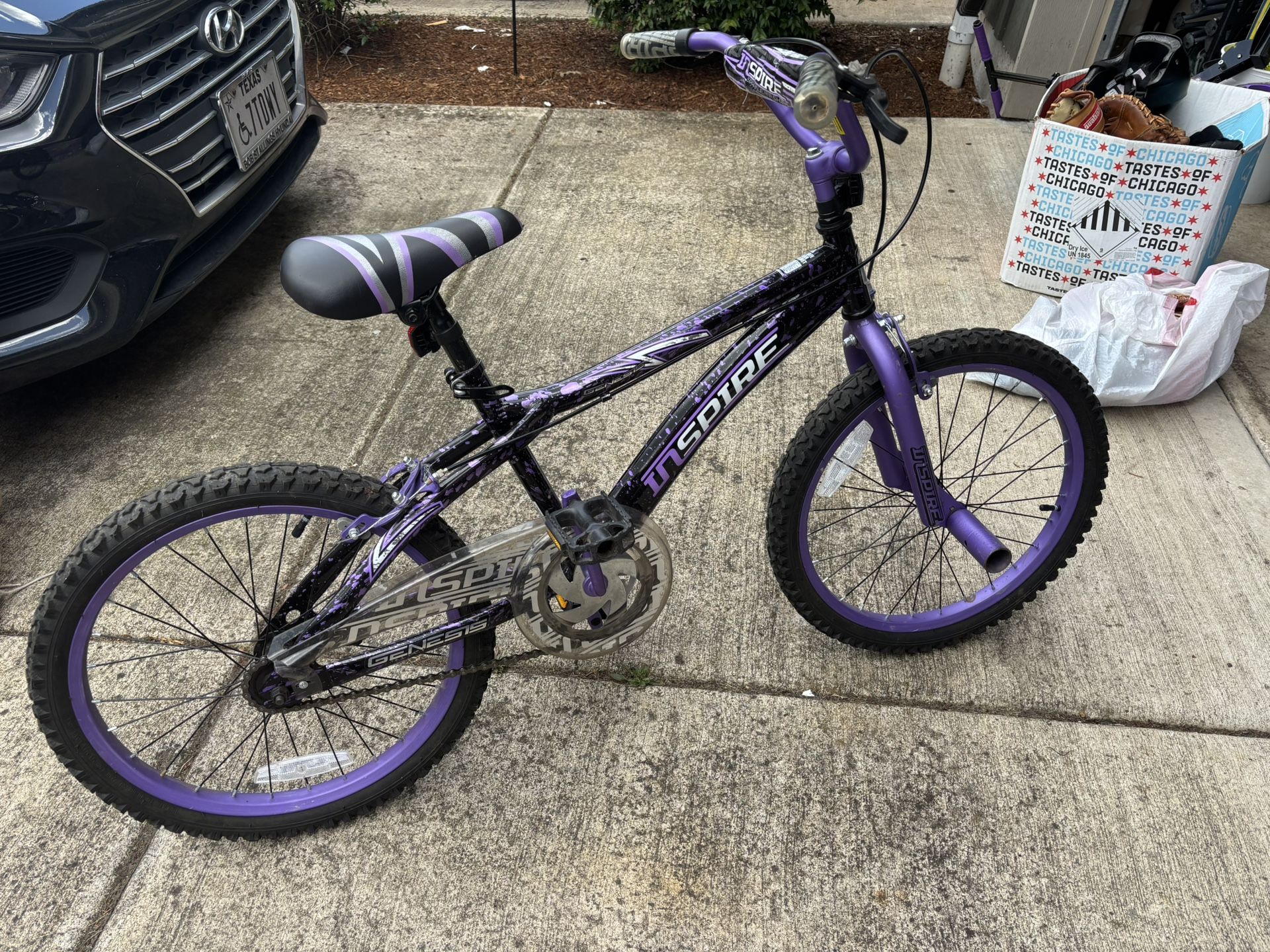 20 Inch Girls Bike